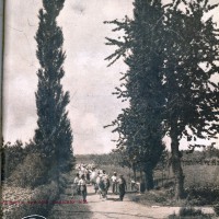 La copertina della rivista «Italia agricola» (1927) della Federconsorzi dedicate alla agricoltura della regione Emilia Romagna (Biblioteca comunale Passerini-Landi di Piacenza).